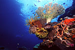 Papua New Guinea seascape