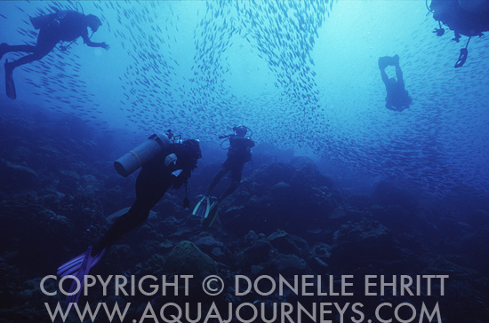 Bonaire Divers
